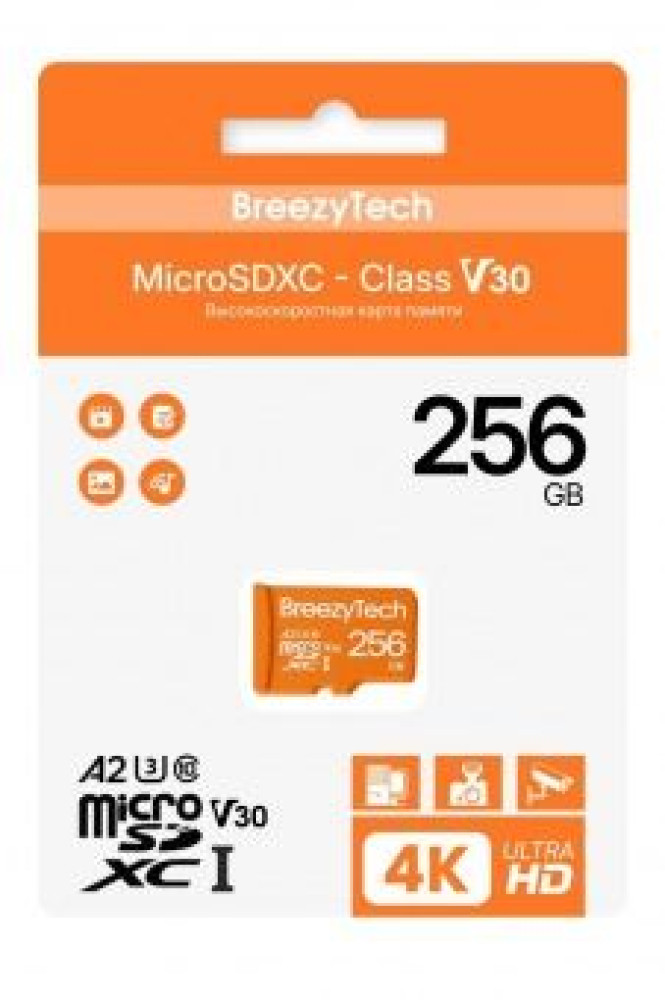 Карта памяти BreezyTech Ultra microSDHC Class 10/A2/V30 256GB (без адаптера)