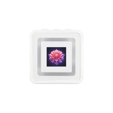 Микрокомпьютер ESP32-C6 160MHz, 0.85inch, 512KB SRAM, 8MB Flash, WiFi 6 & Bluetooth 5- фото2
